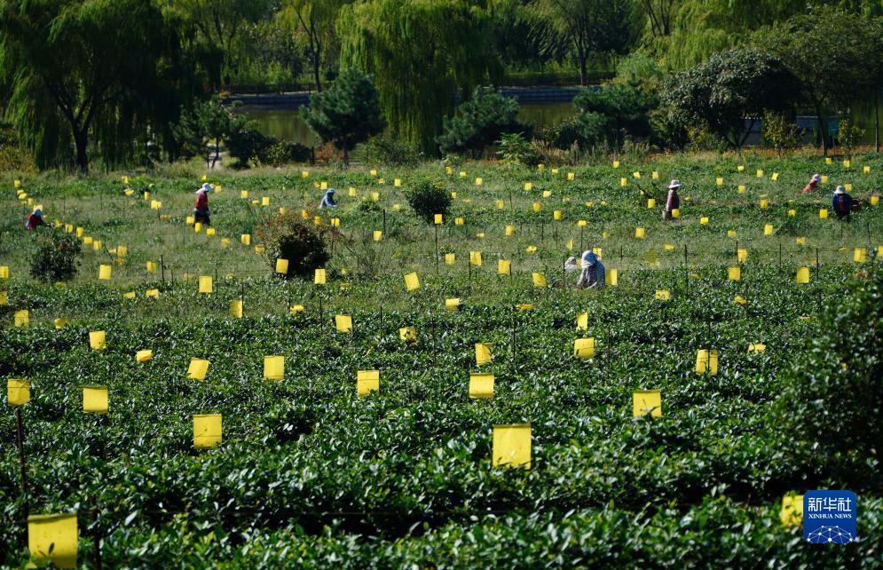 永利怎么样